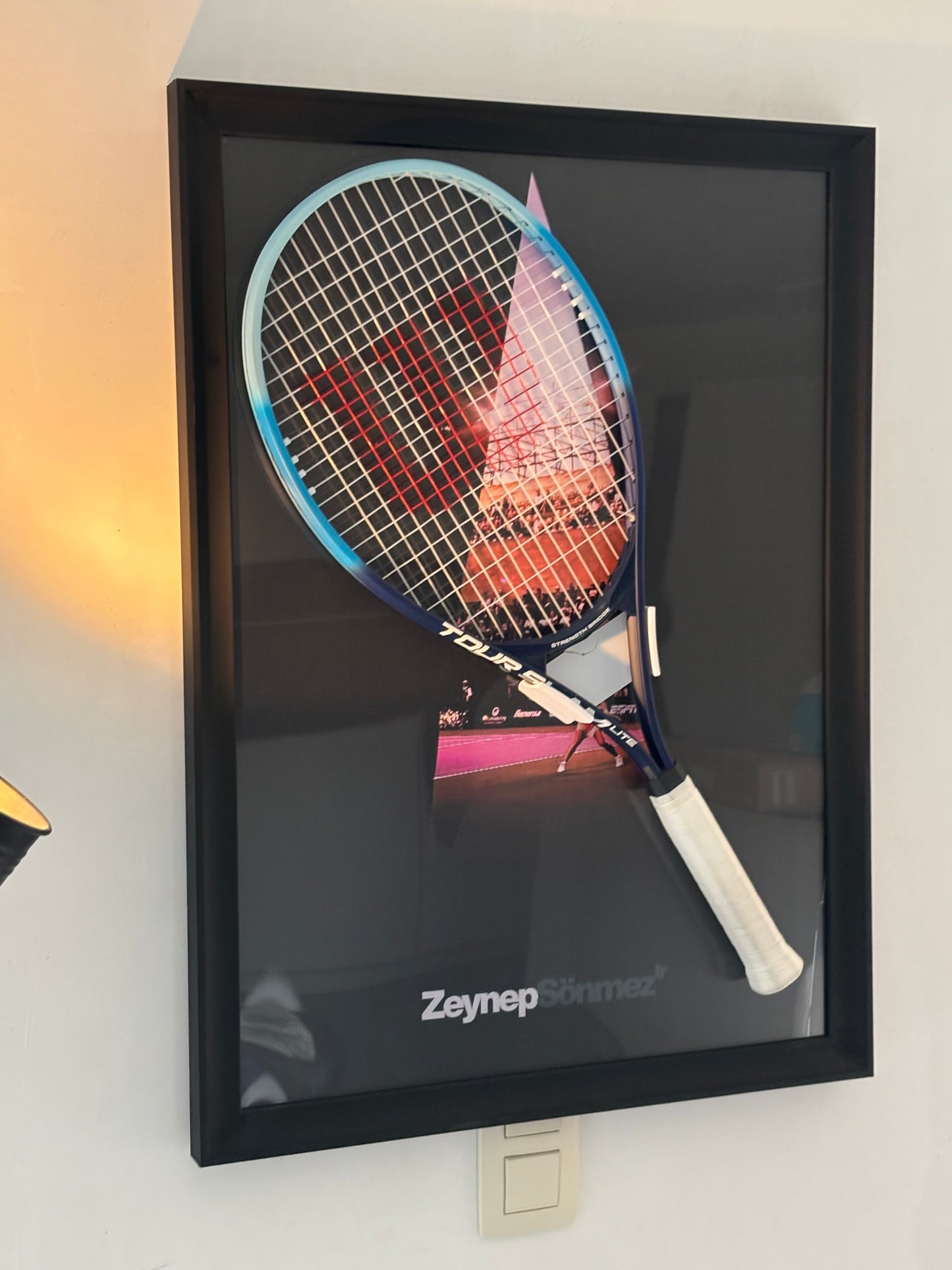 Zeynep Sönmez - Turkish Lion