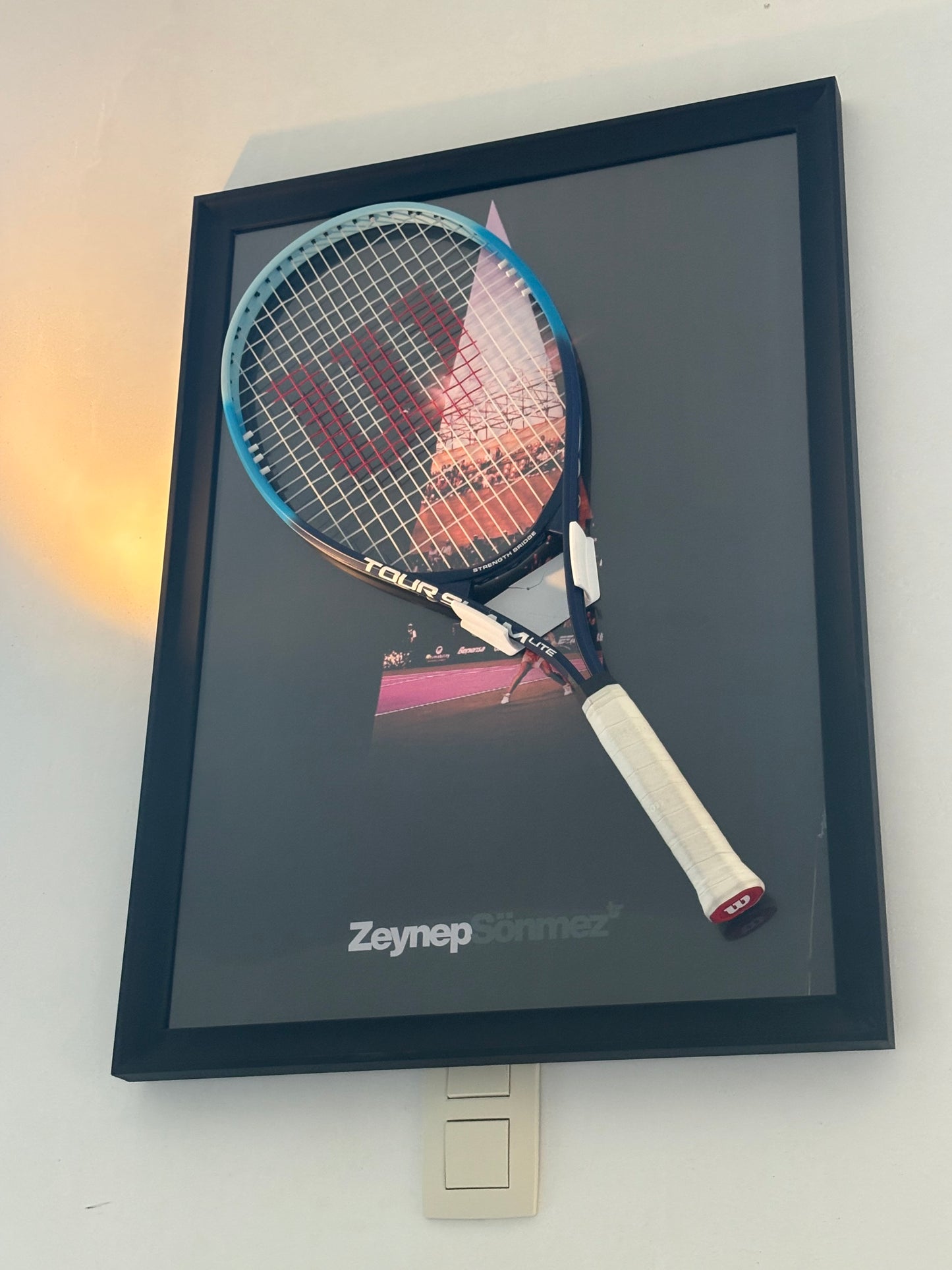 Zeynep Sönmez - Turkish Lion