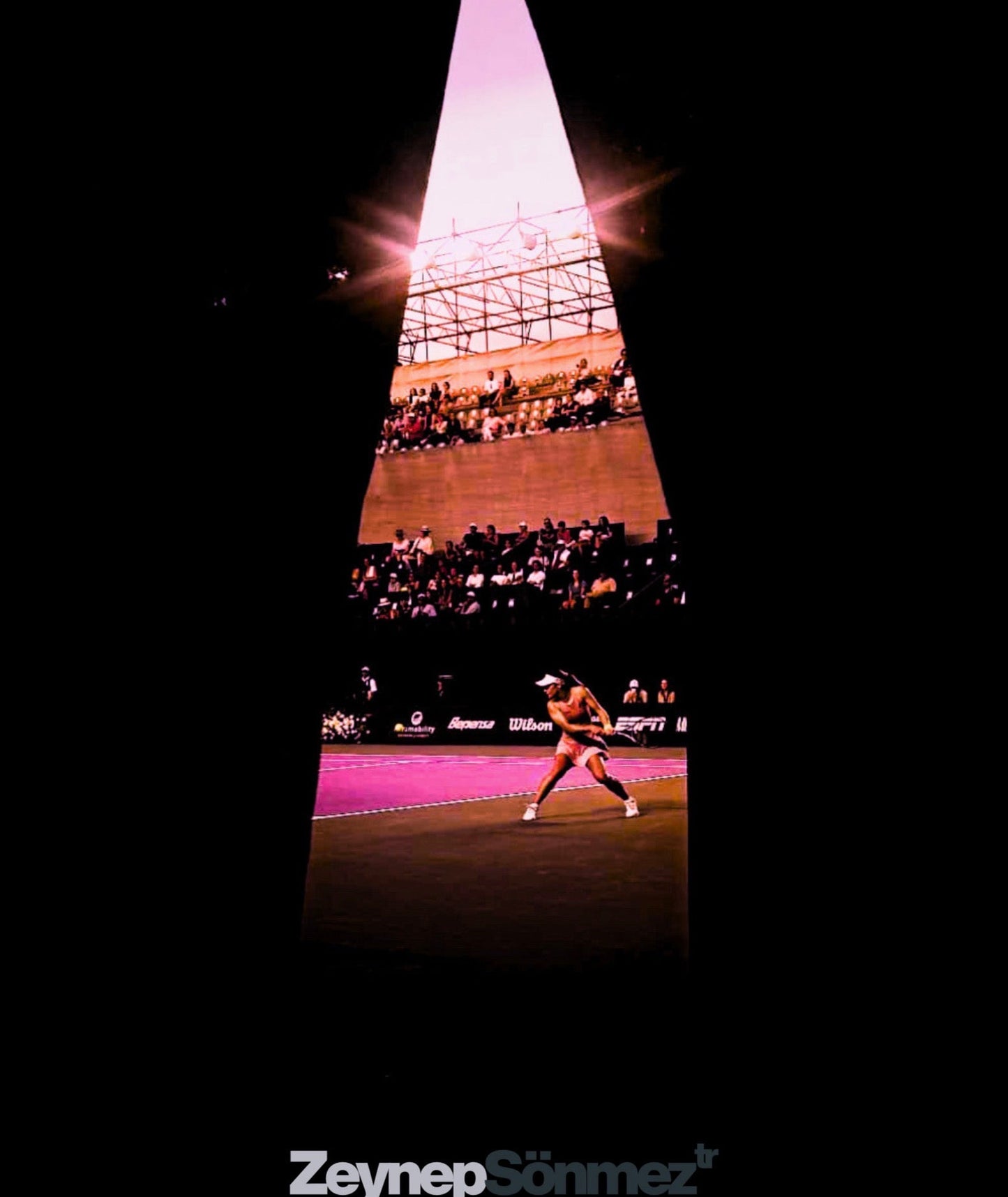 Zeynep Sönmez - Turkish Lion